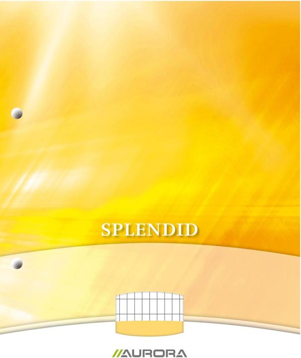 Image du produit Carnet de notes AURORA Splendid Encollé DIN A4 Quadrillé Papier Couleur assortie (210 x 297 mm, Quadrillé)