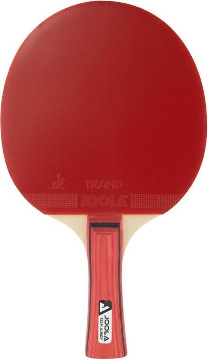 Actual product image Joola Junior-Team-Table-Tennis-Sample