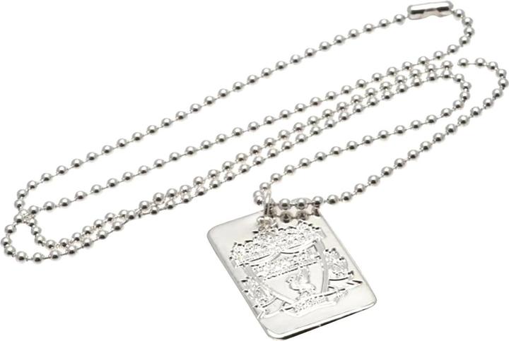 Produktbild Score Draw versilbertes Dog Tag und Kette (100% Metall)