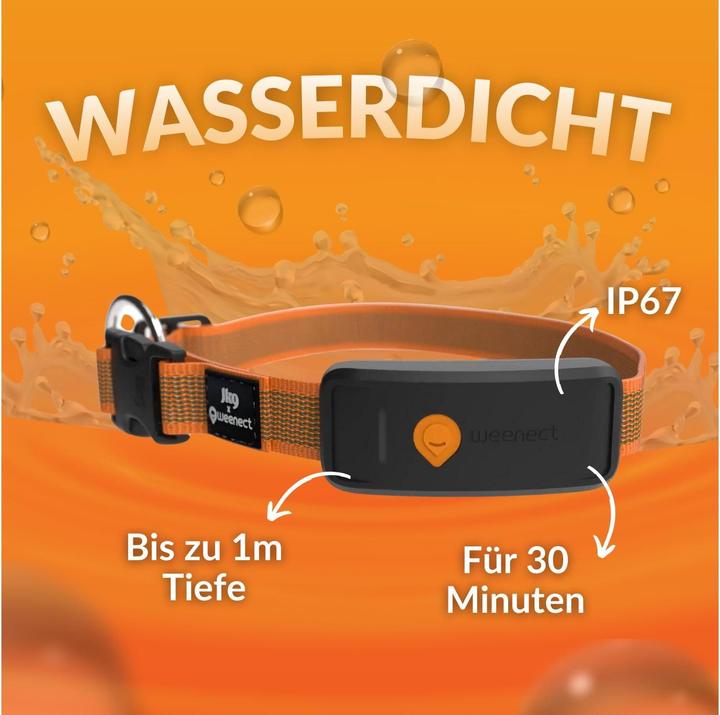 Produktbild Weenect GPS-Tracker (XL, Hund, Allgemein)