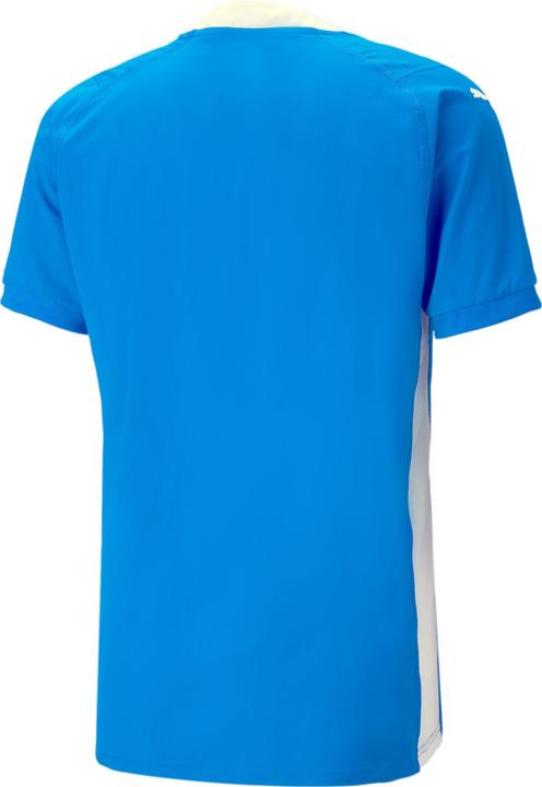 Actual product image Puma teamCUP Jersey (L)