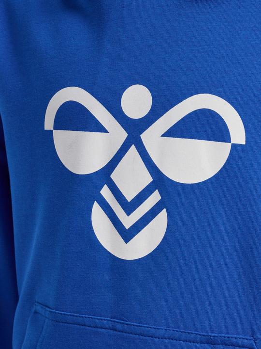 Actual product image hummel hmlCUATRO HOODIE (134)