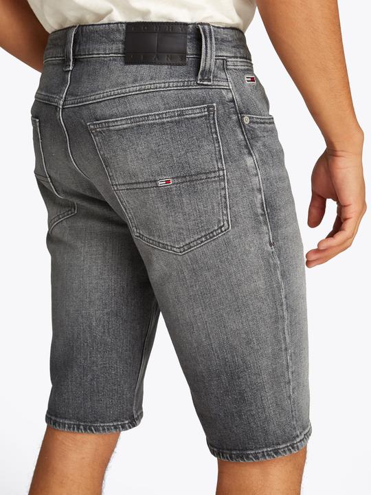 Image du produit Tommy Jeans 10021359 (W33)