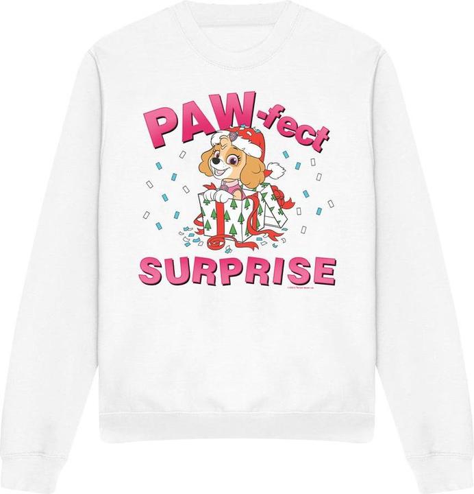 Paw Patrol The PawFect Christmas Gift Sweatshirt