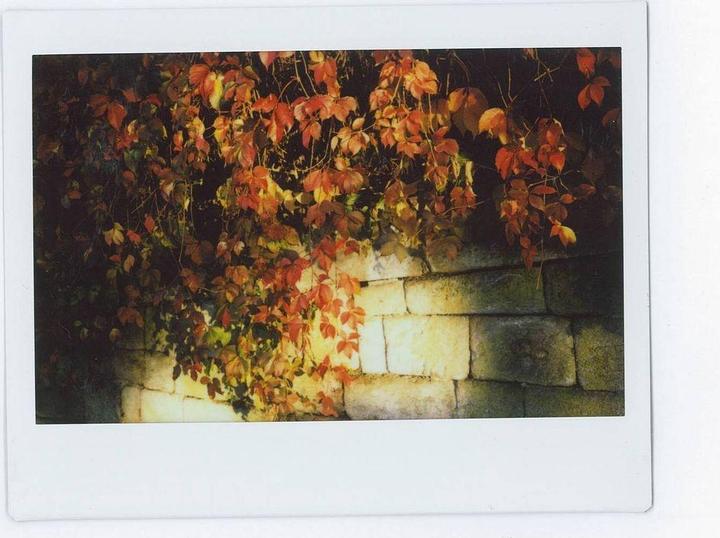 Image du produit Fujifilm Couleur de l'impôt (Instax Wide 300)