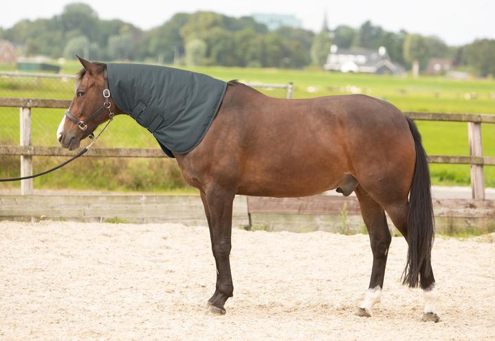 Produktbild Harry's Horse Thor 200 g