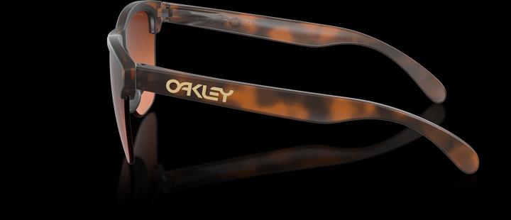 Produktbild Oakley Frogskins Lite