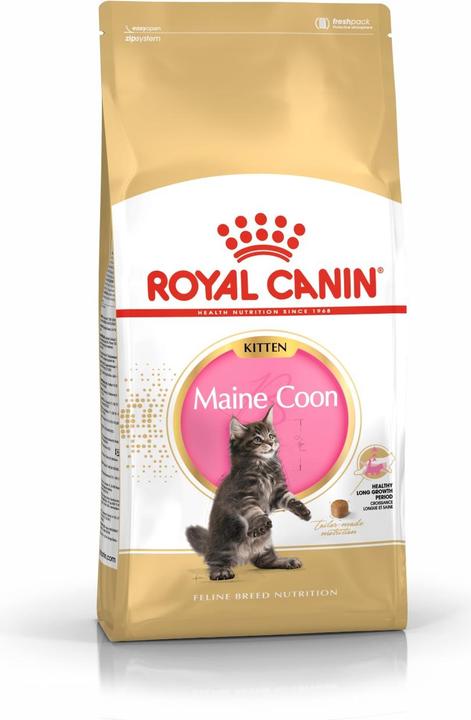 Immagine prodotto Royal Canin Gattino Maine Coon (Junior, 1 pz., 4000 g)