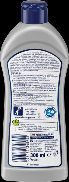 Immagine prodotto dm Denkmit Detergente per acciaio inox