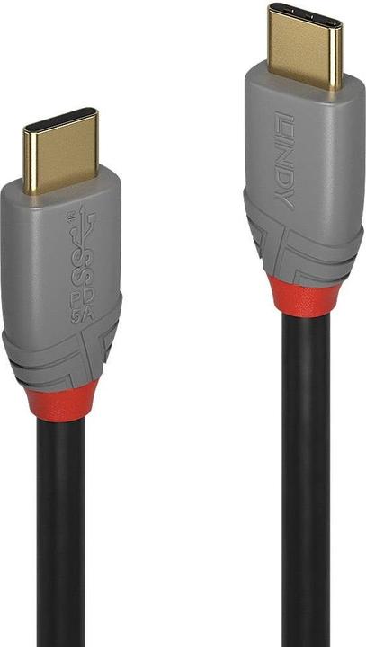 Immagine prodotto Lindy Anthra Line (0.50 m, USB 3.1)