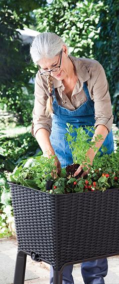 Produktbild Keter Easy Growing