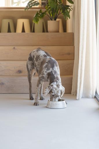 Actual product image Designed by Lotte Dog bowl Meis (0.70 l)