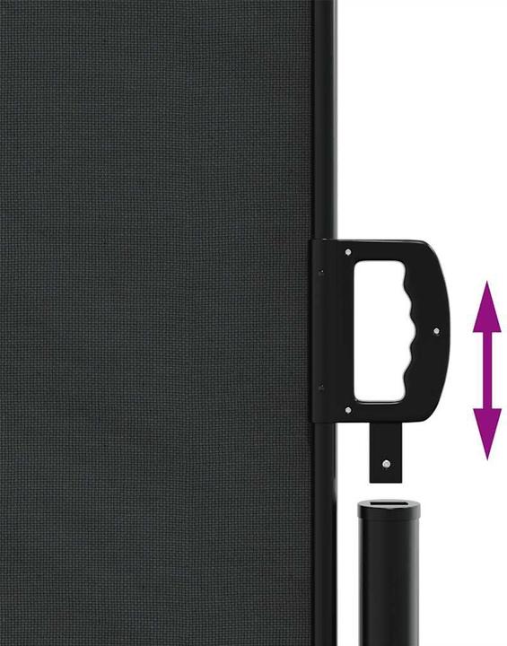 Actual product image VidaXL Extendable side awning (6 m)