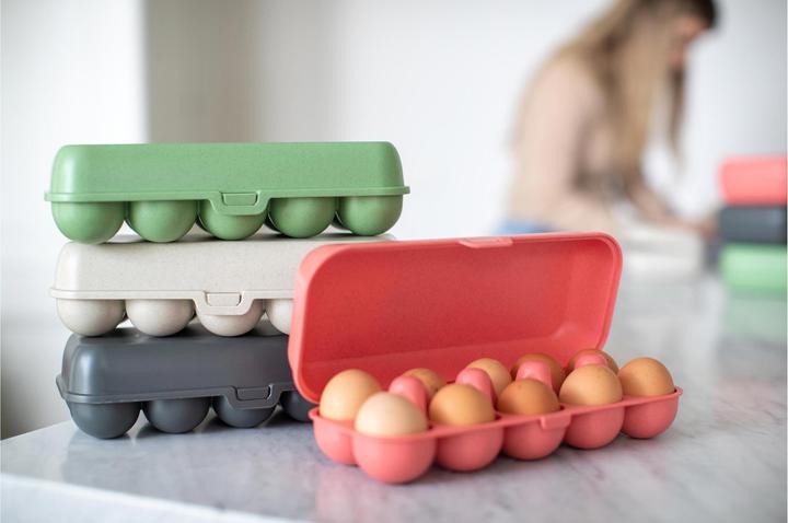 Image du produit Koziol Boîte à oeufs (2.69 l)