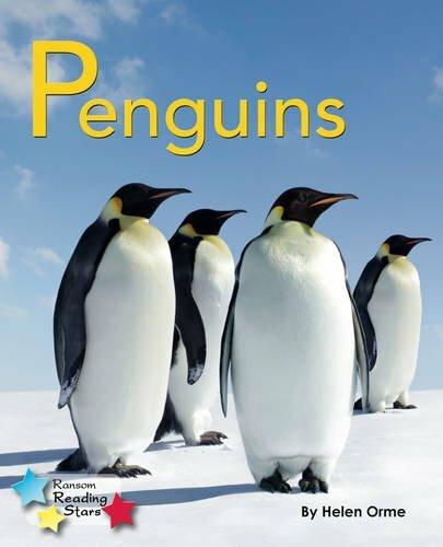 Image du produit Penguins (Anglais, Orme Helen, 2019)