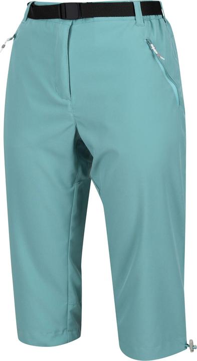 Actual product image Regatta Womens/Ladies Xert Stretch Light Capris (38 D)