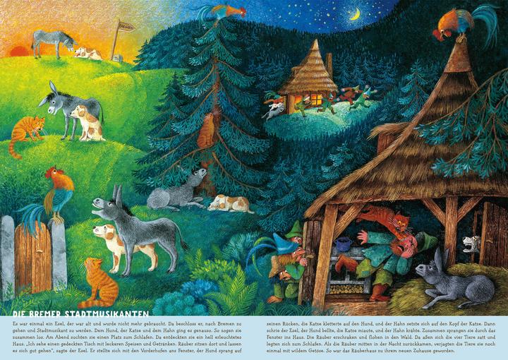 Actual product image My marvellous fairytale world hidden object book (cardboard picture book) (German)