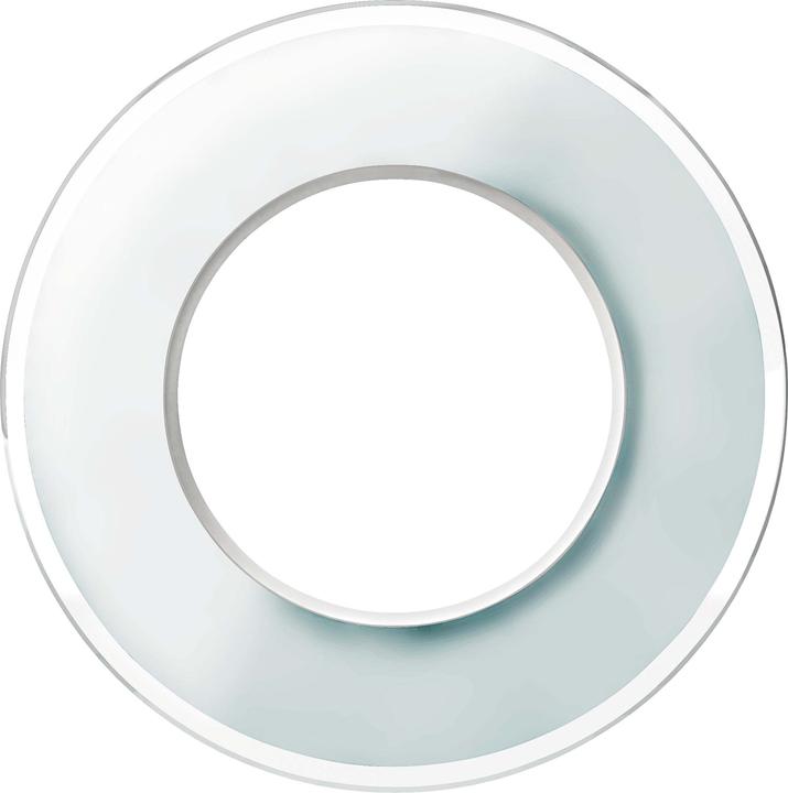 Actual product image Schneider Electric WDE011406 Wall plate/switch cover