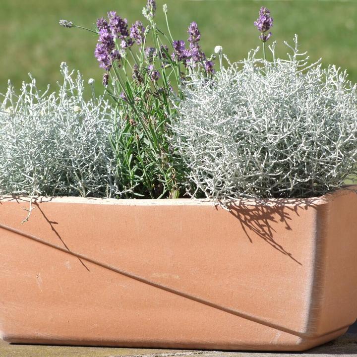 Produktbild Spang Balkonkasten Line antik 30 x 19 x 16 cm mit Loch