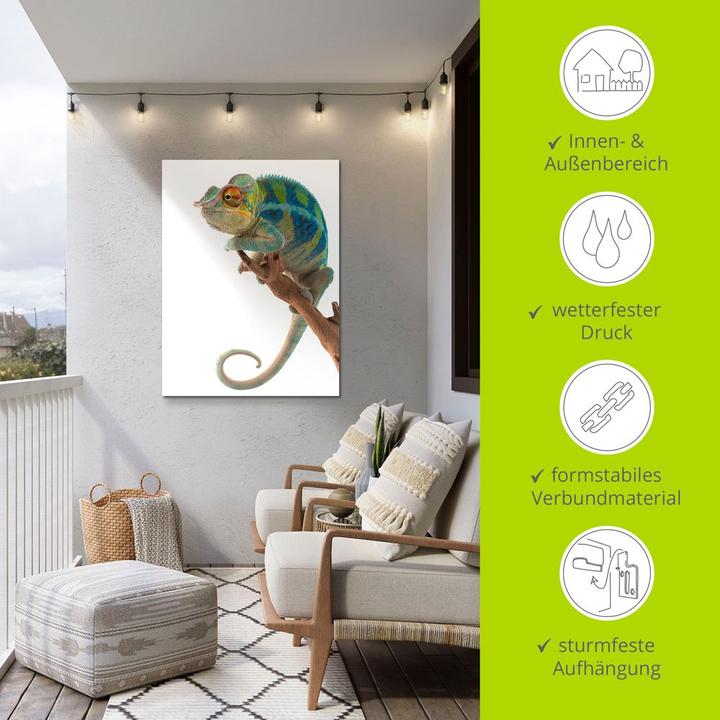 Actual product image Artland Ambanja Panther Chameleon T5RW (30 x 40 cm)
