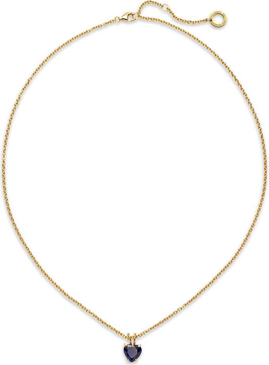 Actual product image Paul Hewitt PH-JE-0148 (Steel, 45 - 50 cm)