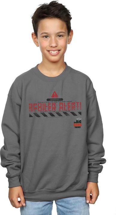 Produktbild Dam Spoiler Alert Sweatshirt Jungen (140, 146)