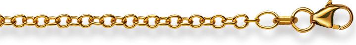 Image du produit Natsumi Schmuck Collier en or jaune 18K/750 Ancre ronde 2.5mm (750/18 K Or jaune, 40 cm)