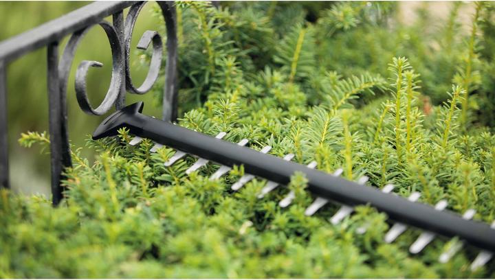 Image du produit Bosch Home & Garden Taille-haies électrique UniversalHedgeCut 50 (Taille-haie électrique)