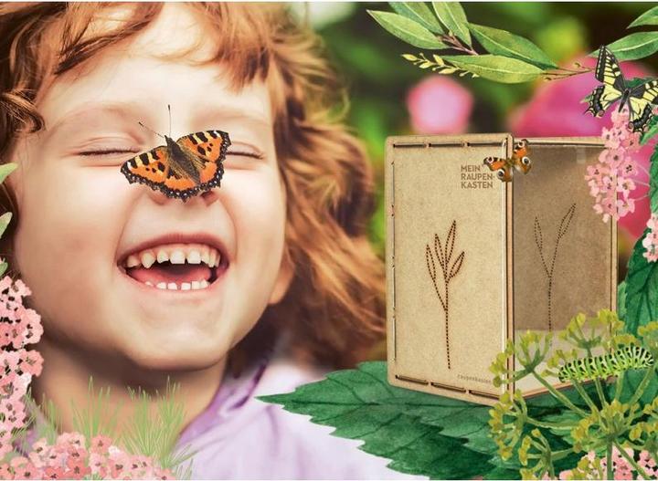 Immagine prodotto Mein Raupenkasten Insetto hotel caterpillar box (Farfalle)