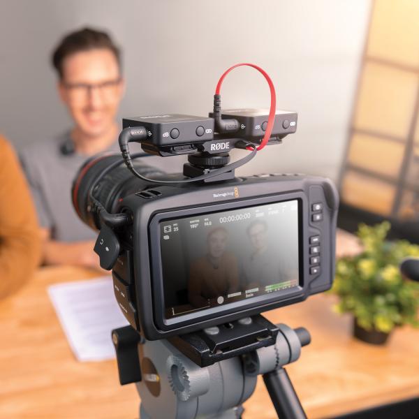 Actual product image RØDE SC11 TRS distribution cable (0.28 m)