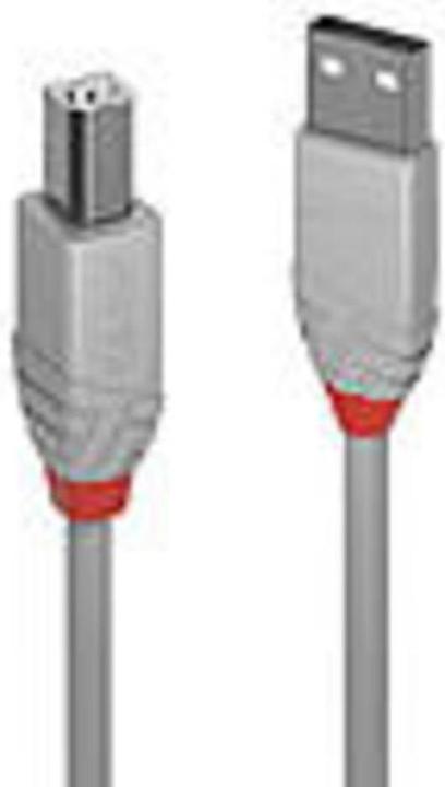 Image du produit Lindy USB/A-USB/B M-M (3 m, USB 2.0)