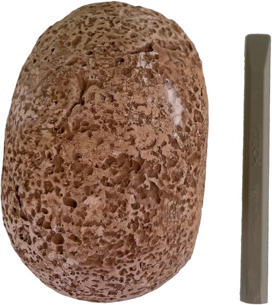 Produktbild Kosmos Fossil Dino-Eier