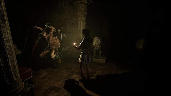 Actual product image Pqube Tormented Souls (PS4, EN)