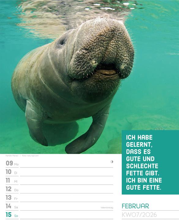 Immagine prodotto Tierisch! Sprüchekalender - Wochenplaner Kalender 2026 (25 x 33 cm, Tedesco)