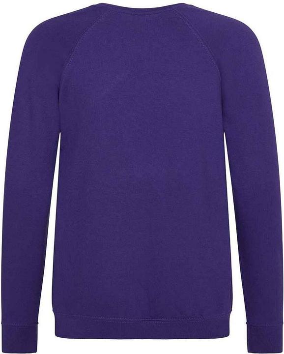 Image du produit Awdis - Sweat ACADEMY - Enfant (146, 152)