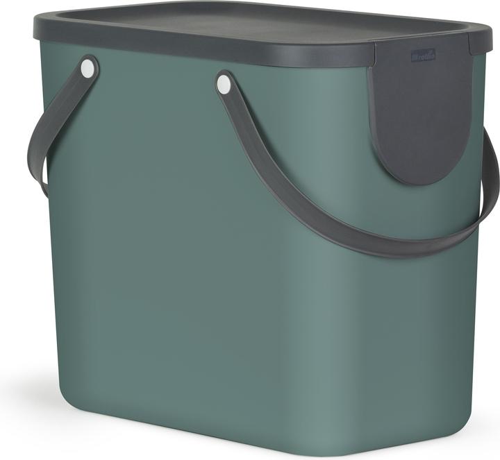 Verde vischio