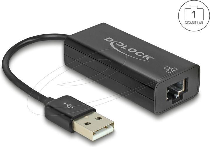 Actual product image Delock Adapter USB 2.0 > LAN 10/100 Mb/s (USB 2.0, RJ45 (1x))