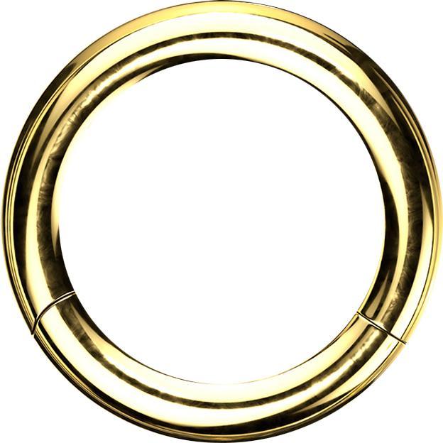Produktbild Star Piercing Segmentring klappbar vergoldet (ohne Messing, Chirurgenstahl 316L)