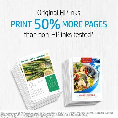 Actual product image HP Advanced Photo Paper 10 sheets (250 g/m², 101 x 305 mm, 10 x)