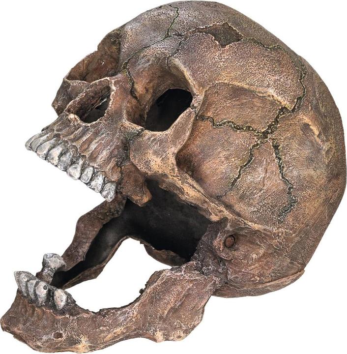 Produktbild Nobby Aqua Ornaments TOTENKOPF (Dekoration, sonstige Gegenstände)