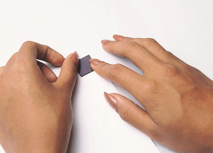 Productafbeelding Magnetoplan Takkis (60 x)
