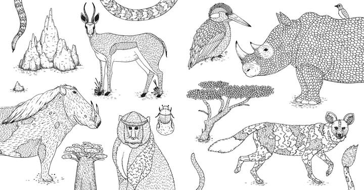 Actual product image Kamyam:Wild Africa