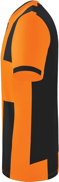 Image du produit Erima Maillot Siena 3.0 (L)