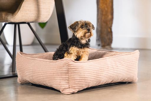 Actual product image Designed by Lotte Ribbed (Dog)