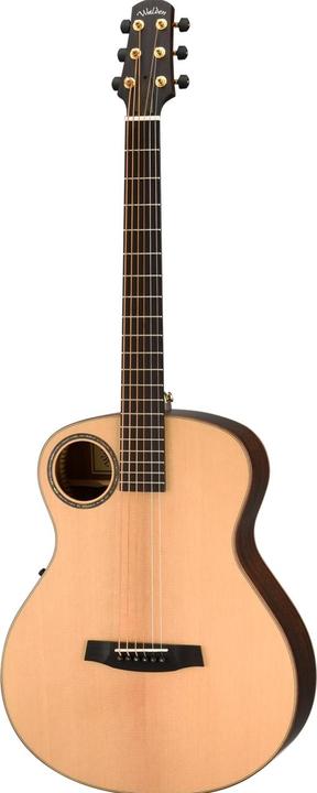 Actual product image Walden B1E Baritone Westerngitarre (Western guitar, Rosewood, Spruce, Aluminium, Bone)