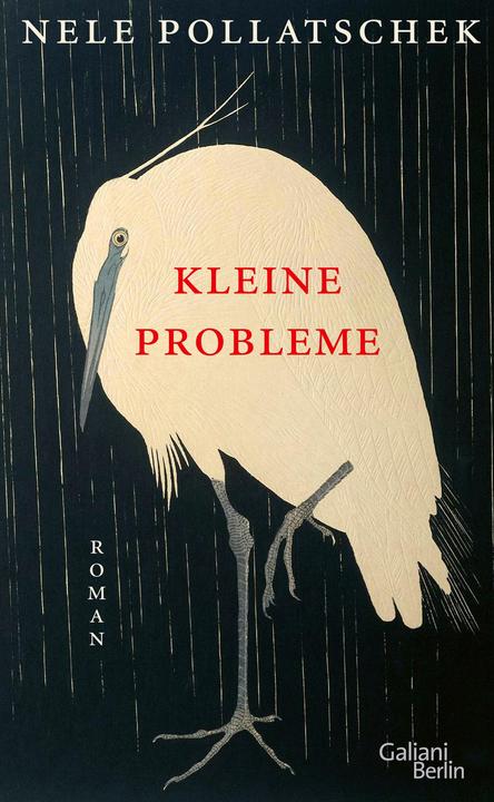 Produktbild Kleine Probleme (Deutsch, Nele Pollatschek, 2023)