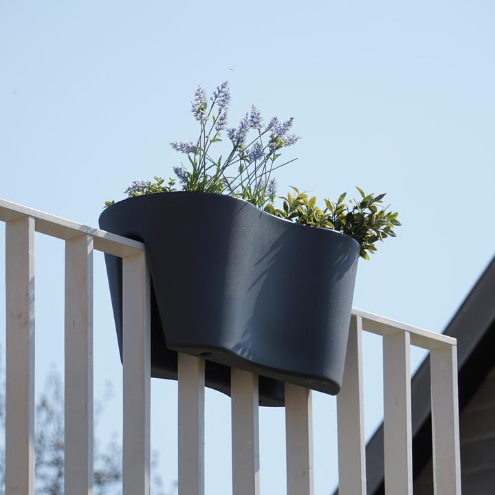 Image du produit Rephorm Pot de fleurs pour balcon Bouture Duo 60 cm - Graphite (30 cm)