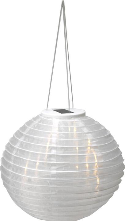 Produktbild ProGarden Solar LED Lampion mit Dämmerungssensor (1 x)