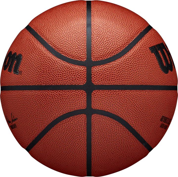Image du produit Wilson NBA Authentic (7)