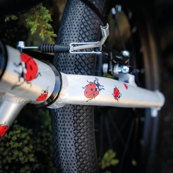 Actual product image Farbviereck Ladybird Motifs Sticker / Sticker